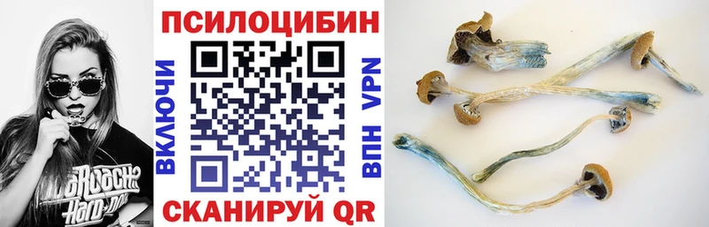 Псилоцибиновые грибы MAGIC MUSHROOMS  Купить где  Анапа 
